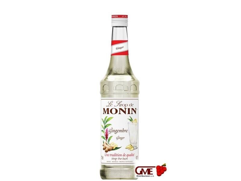 Sciroppo Di Zenzero Monin Cl.70