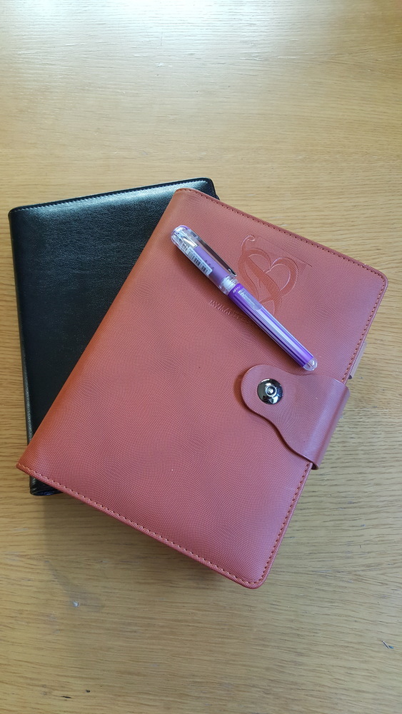 One Month FREE- My Manifesto Vision Book {Downloadable}
