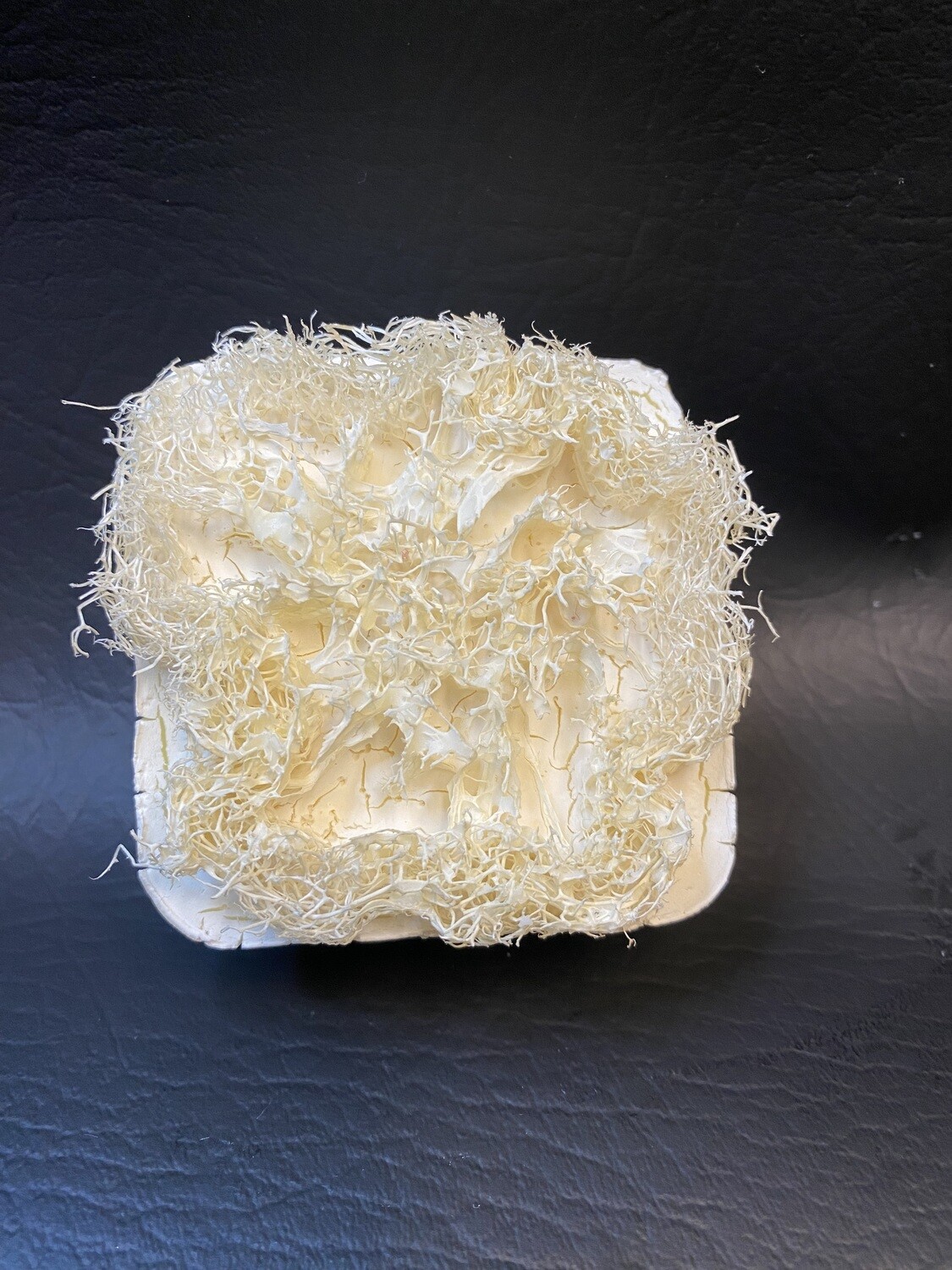 Loofa soaps