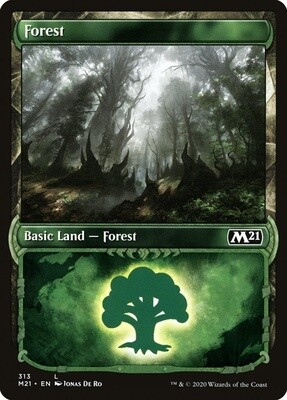 Forest (Core Set 2021, 313, Foil)