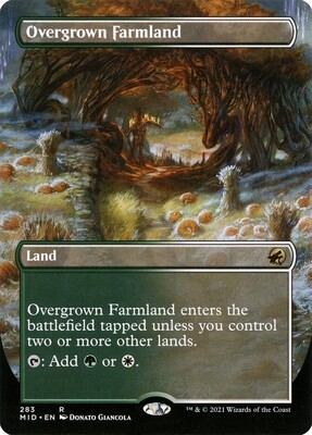 Overgrown Farmland (Innistrad: Midnight Hunt, 283, Foil)