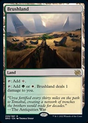 Brushland (The Brothers' War, 259, Nonfoil)