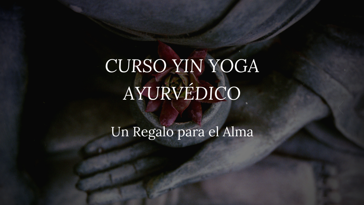 Yin Yoga Ayurvédico. Equilibra los 5 Elementos (Tierra, agua, fuego, aire y espacio) a través de este programa compuesto por el sistema del Yin Yoga y el pensamiento Ayurvédico.