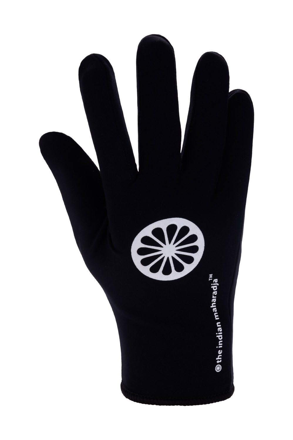 Glove ULTRA winter [pair]-black