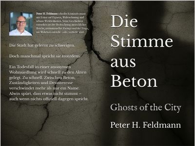 Vorbestellung: Die Stimme aus Beton - Taschenbuch