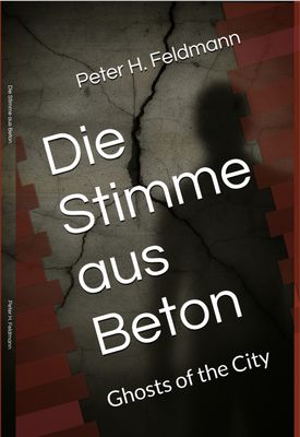 Vorbestellung: Die Stimme aus Beton - Taschenbuch