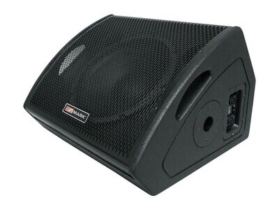 Monitor coaxial pasivo MM 12