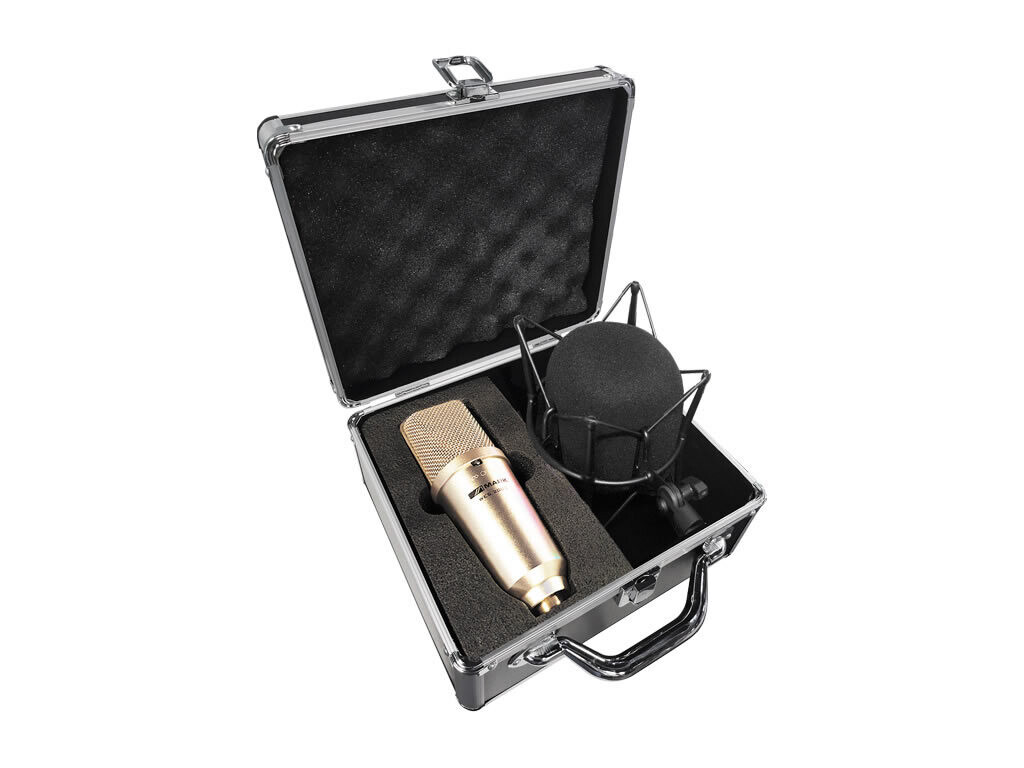 Micrófono de condensador de gran diafragma. WES 2000