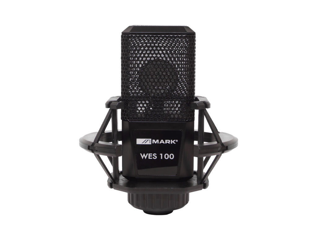 Micrófono profesional de estudio. WES 100 Micrófono profesional de estudio. WES 100