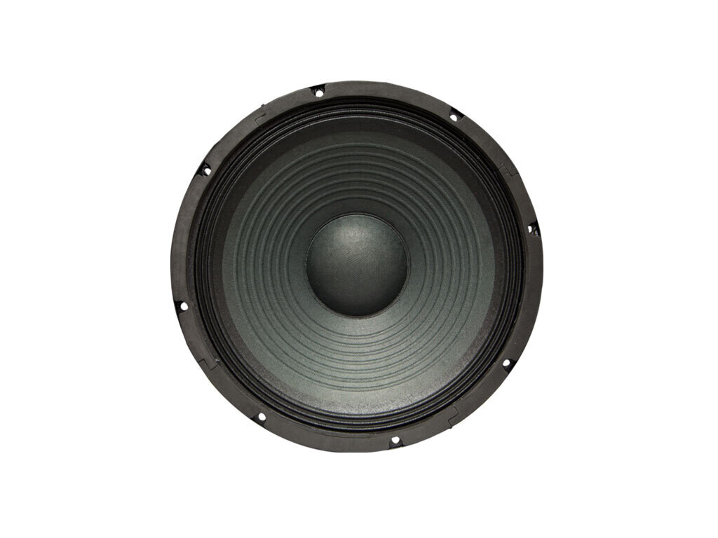 Altavoz 8&#39;&#39;. 100 W @ 8 Ohm. ALT 100/8