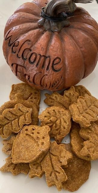 &#39;LET&#39;S GIVE &#39;EM PUMPKIN TO TALK ABOUT&quot;