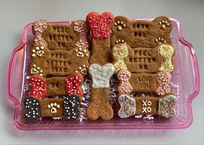 Assorted Large Treats (Birthday, Gotcha Day, Feel Better...)