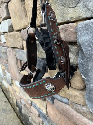 Rough Out Halter and Teal