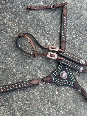 Crazy Horse Rough out and Buck Stitch/copper dots (teal)