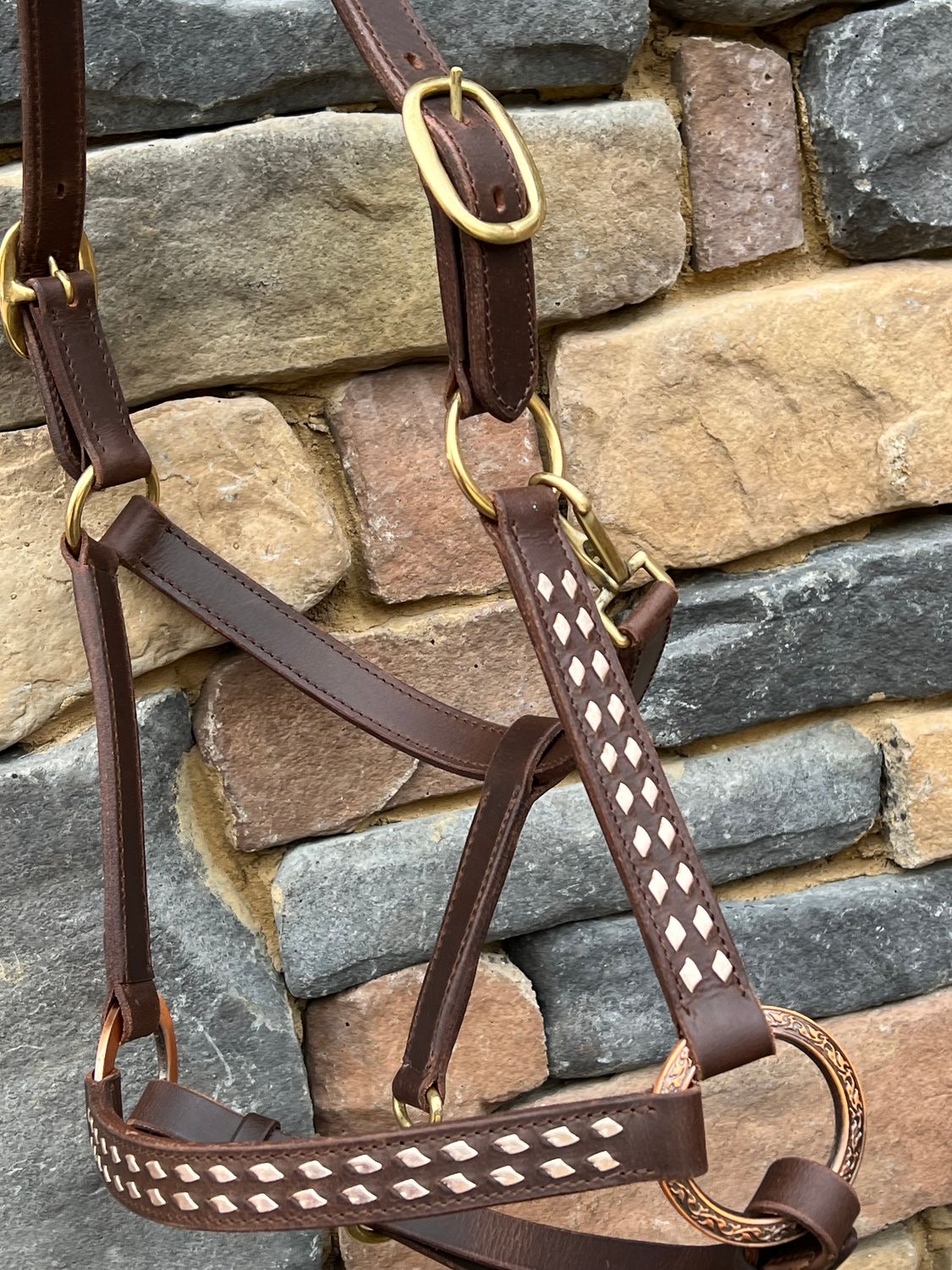 Crazy Horse original buckstitch halter (gold)