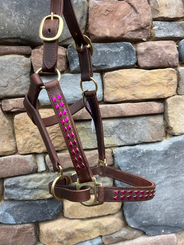 Crazy Horse original buckstitch halter (pink)