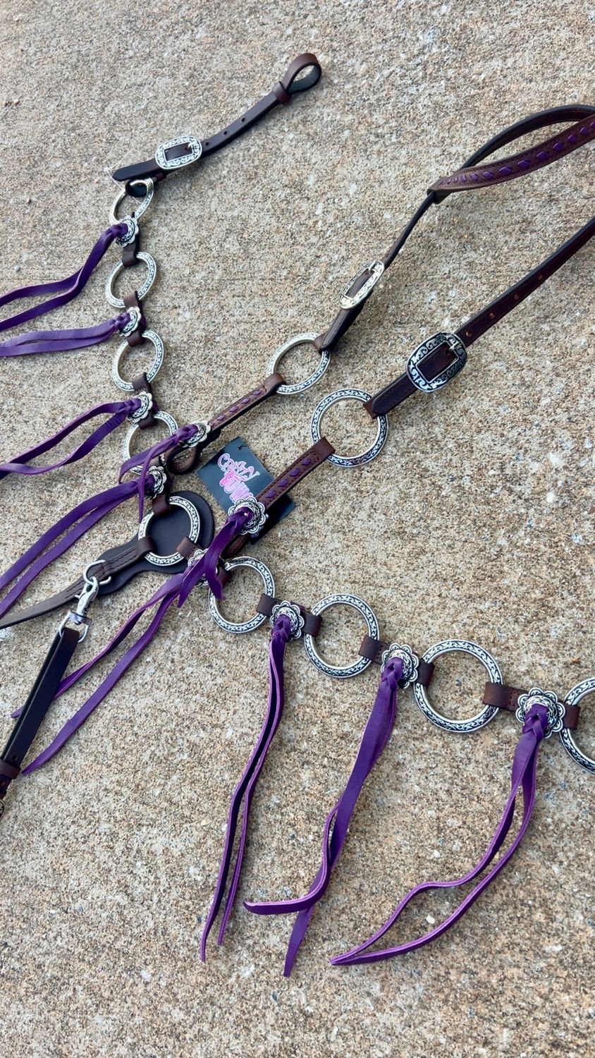 Crazy Horse Conchos Rings and Purple Fringe