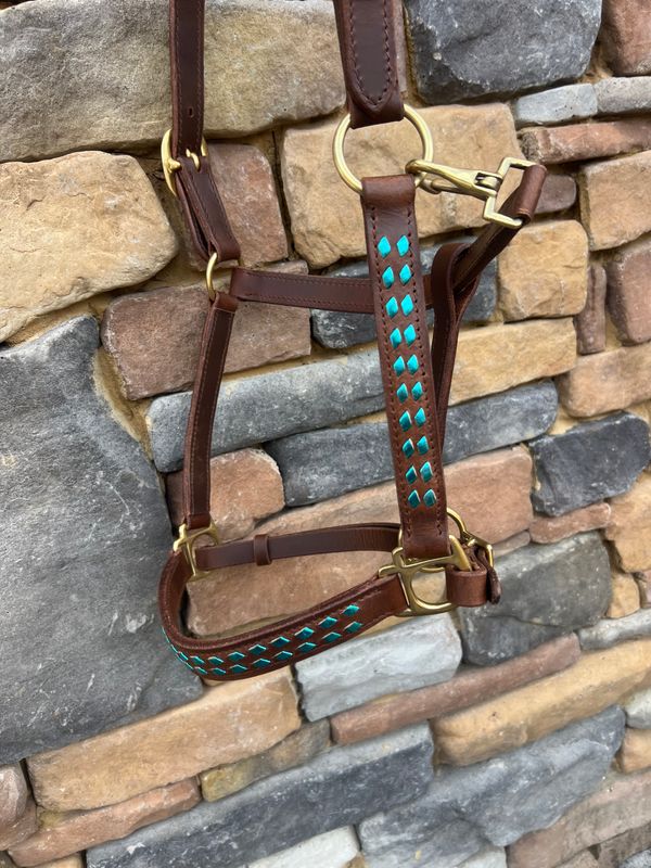 Crazy Horse Teal BS halter