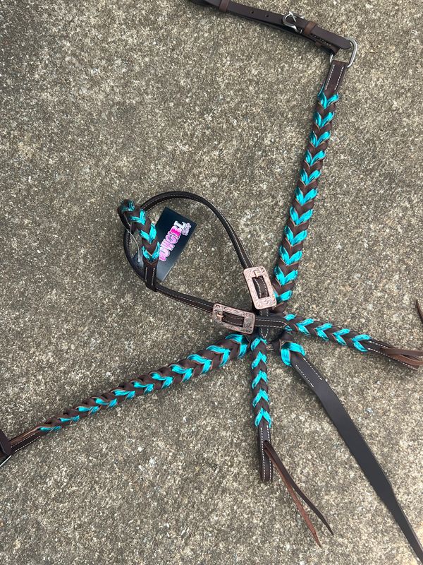 Crazy Horse metallic teal braids