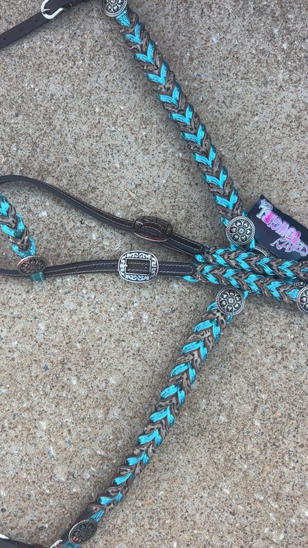 Crazy Horse metallic teal braids