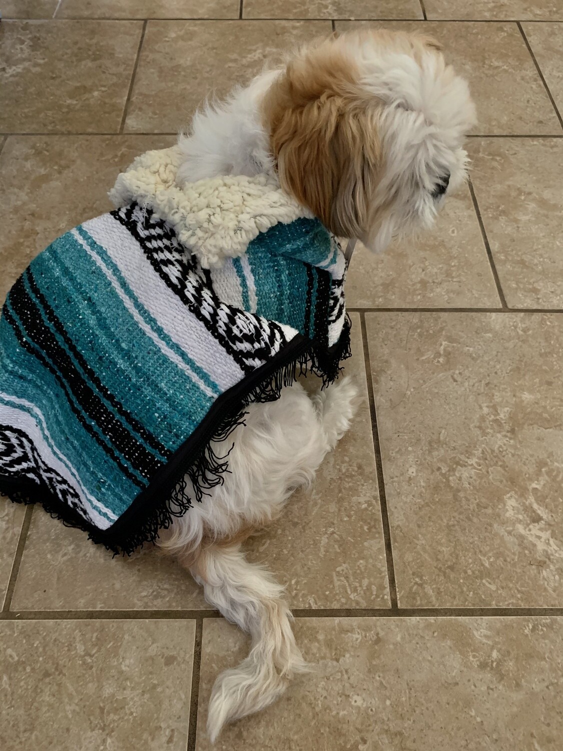 Gabán Mascota/Pet Poncho