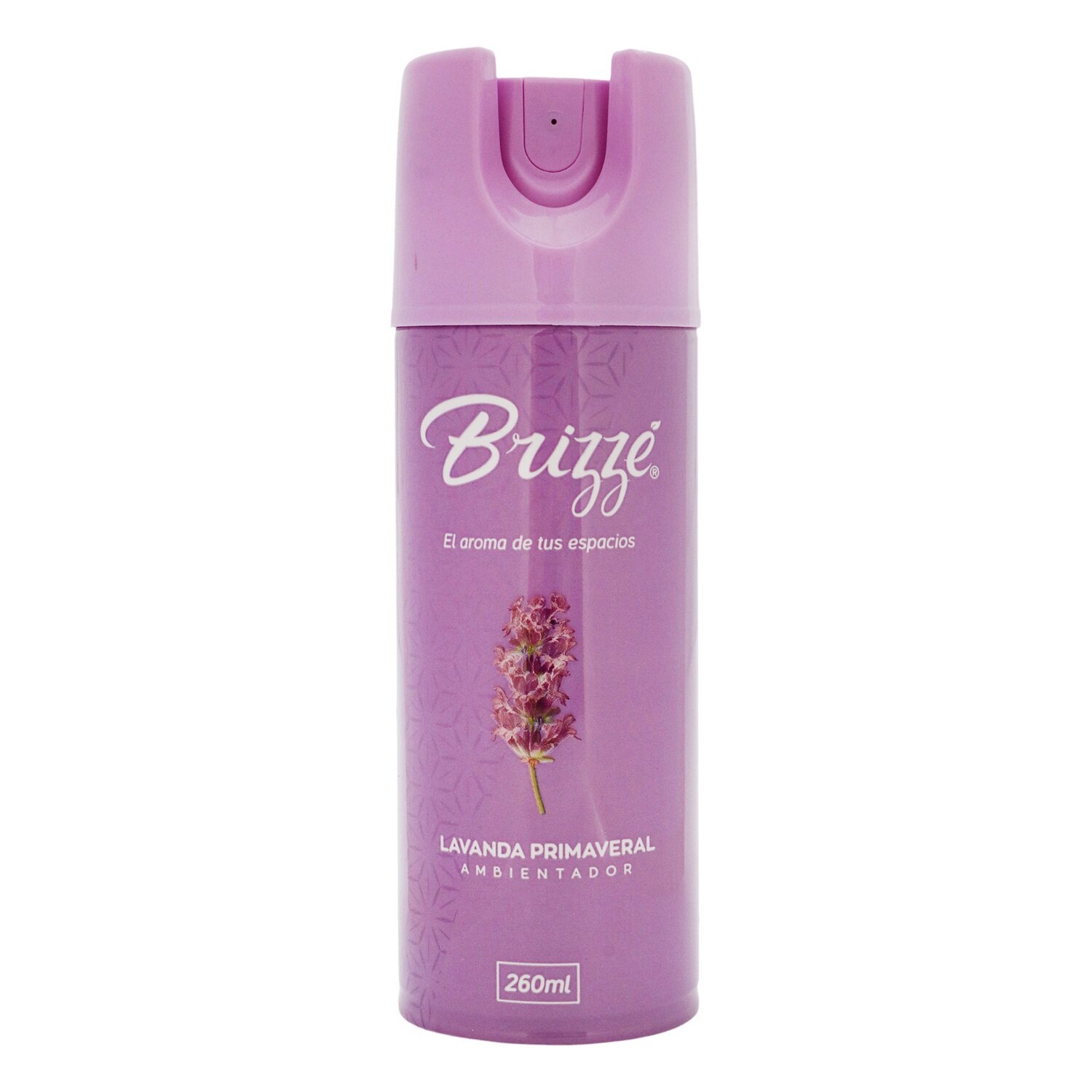 BRIZZE LAVANDA