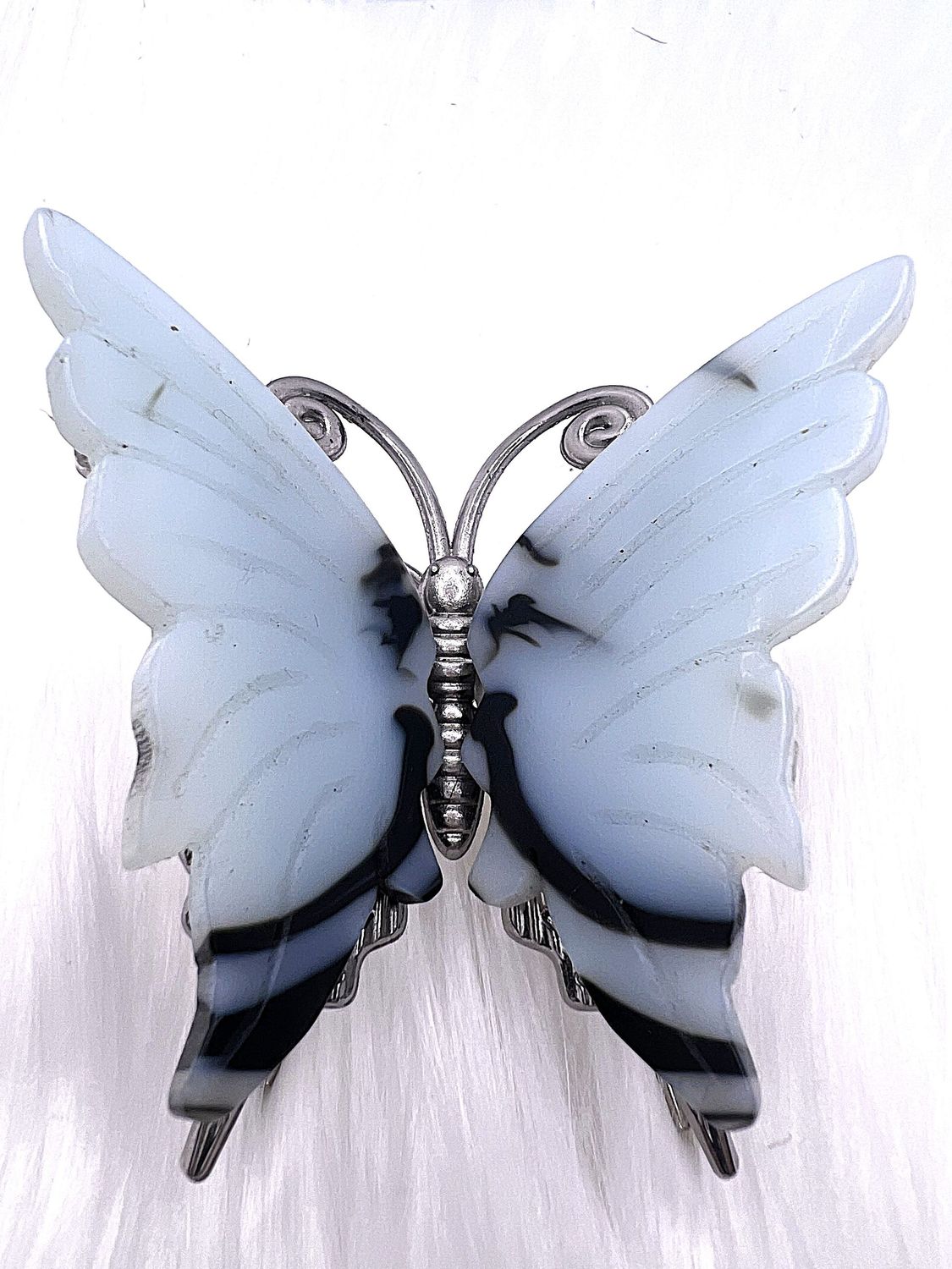 Black & White Butterfly