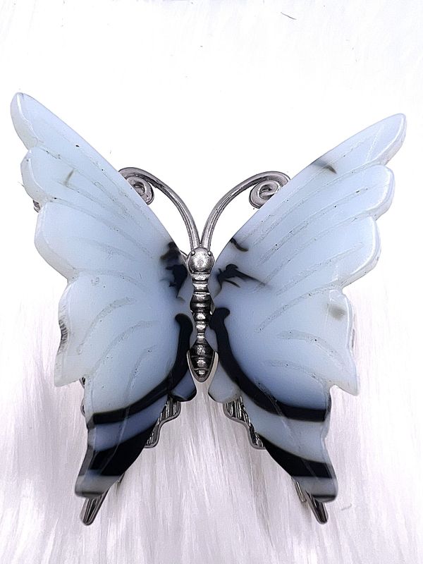 Black & White Butterfly