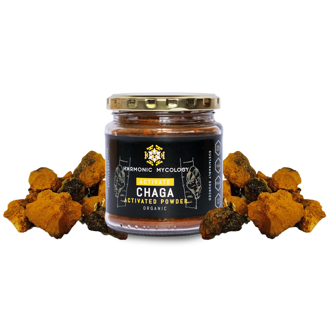 Active Chaga Powder
