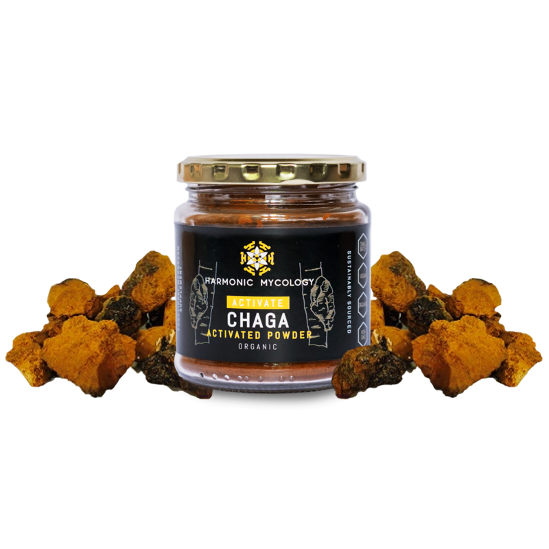 Active Chaga Powder
