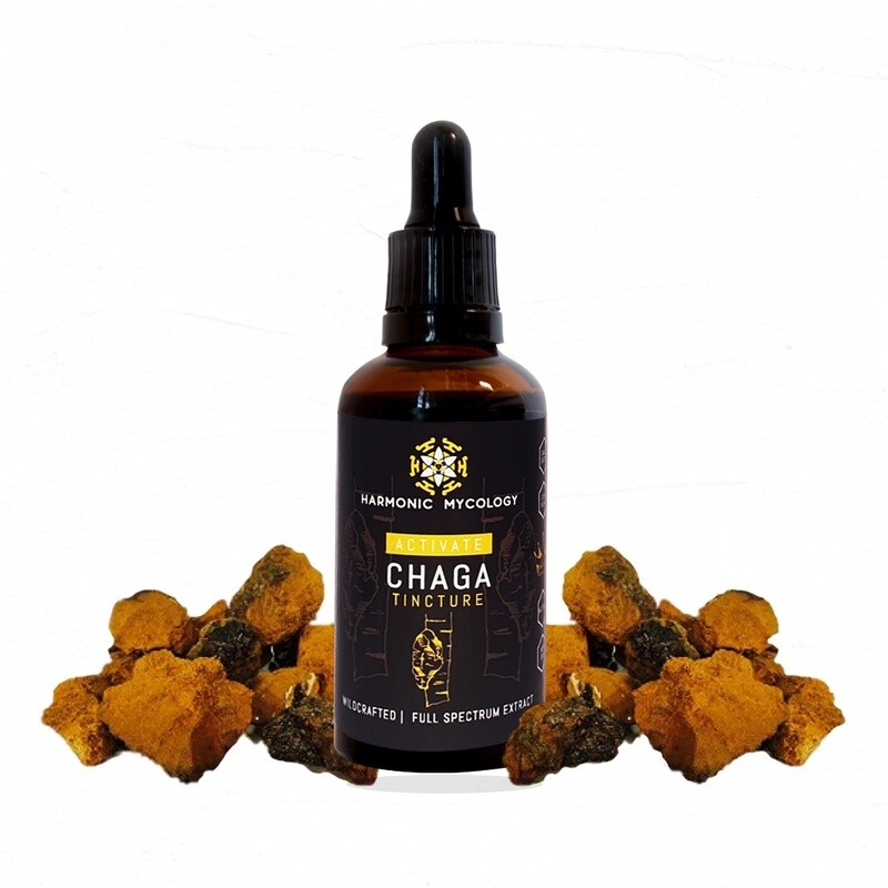 Active Chaga Tincture
