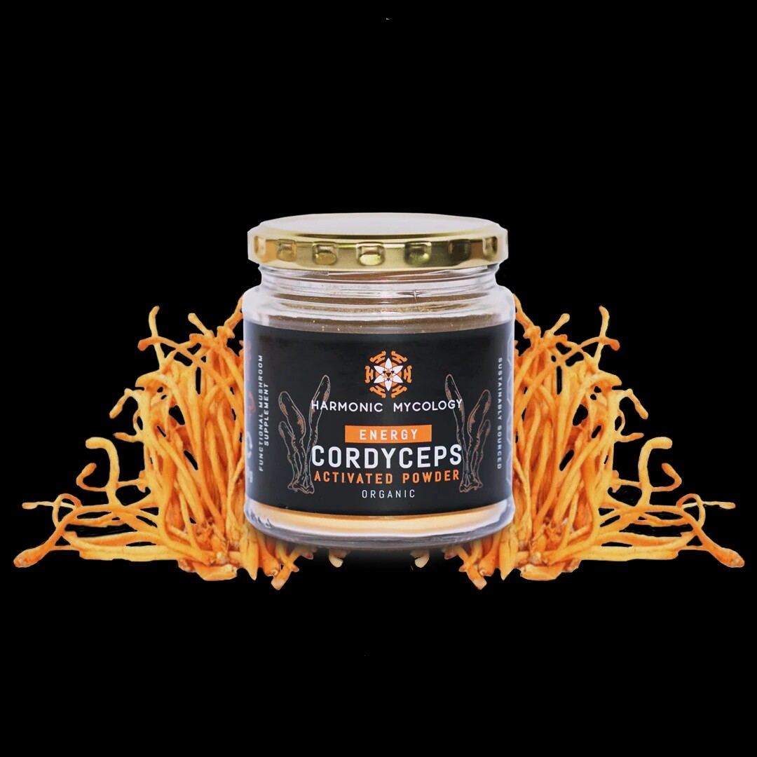 Energy Cordyceps Powder