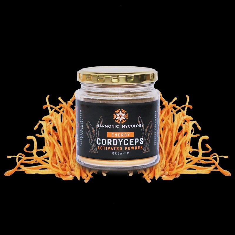 Energy Cordyceps Powder