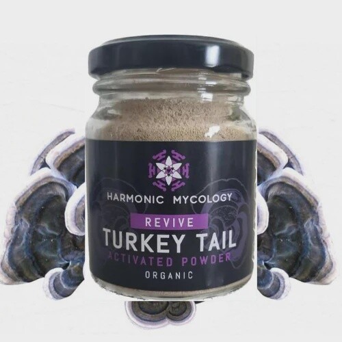 Revive Turkey Tail powder 50g