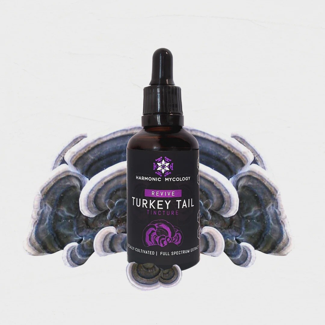 Revive Turkey Tail Tincture