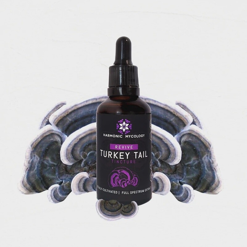 Revive Turkey Tail Tincture