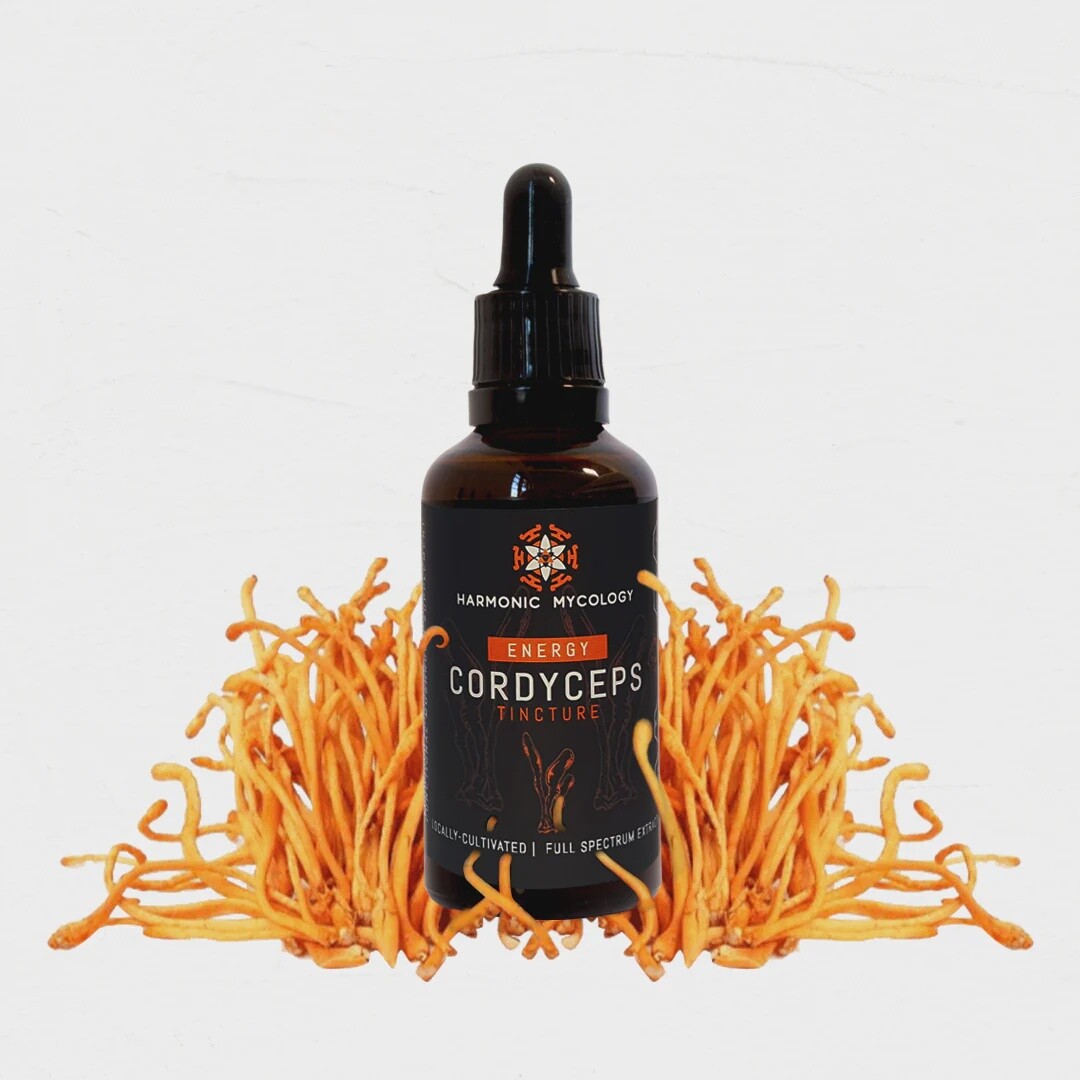 Energy Cordyceps Tincture