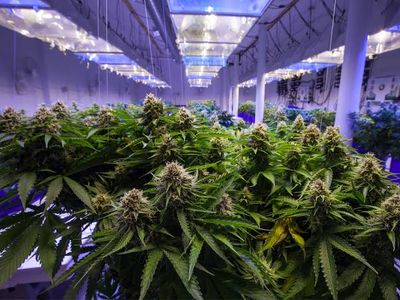 3G - Indoor