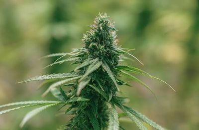 1G - Indoor