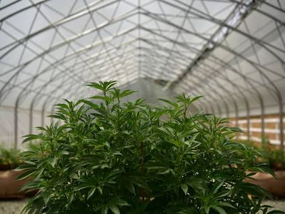 1G - Greenhouse