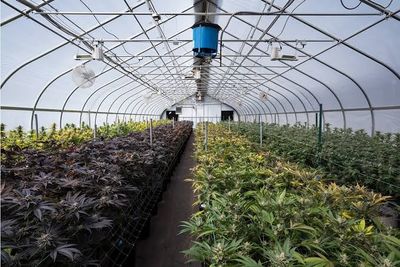 5G - GreenHouse
