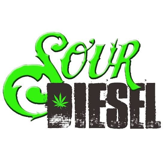 1G - Sour diesel - Greenhouse