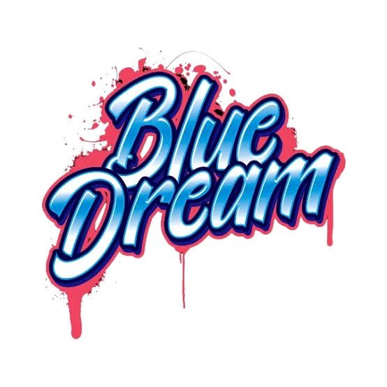 Blue dream - Outdoor - dogwalkers x2