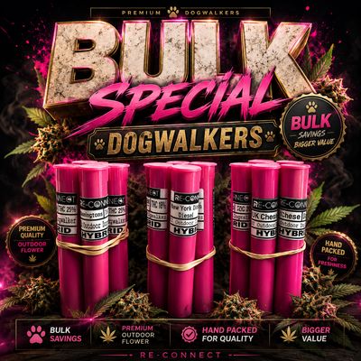 Bulk Dog Walkers x 10