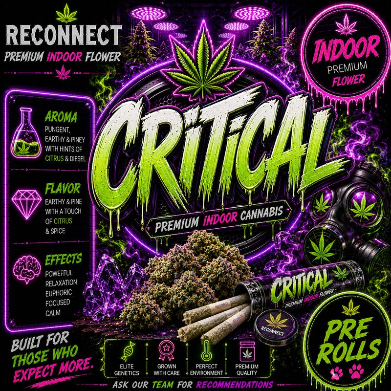 Pre Roll x 1 | Critical | Indoor
