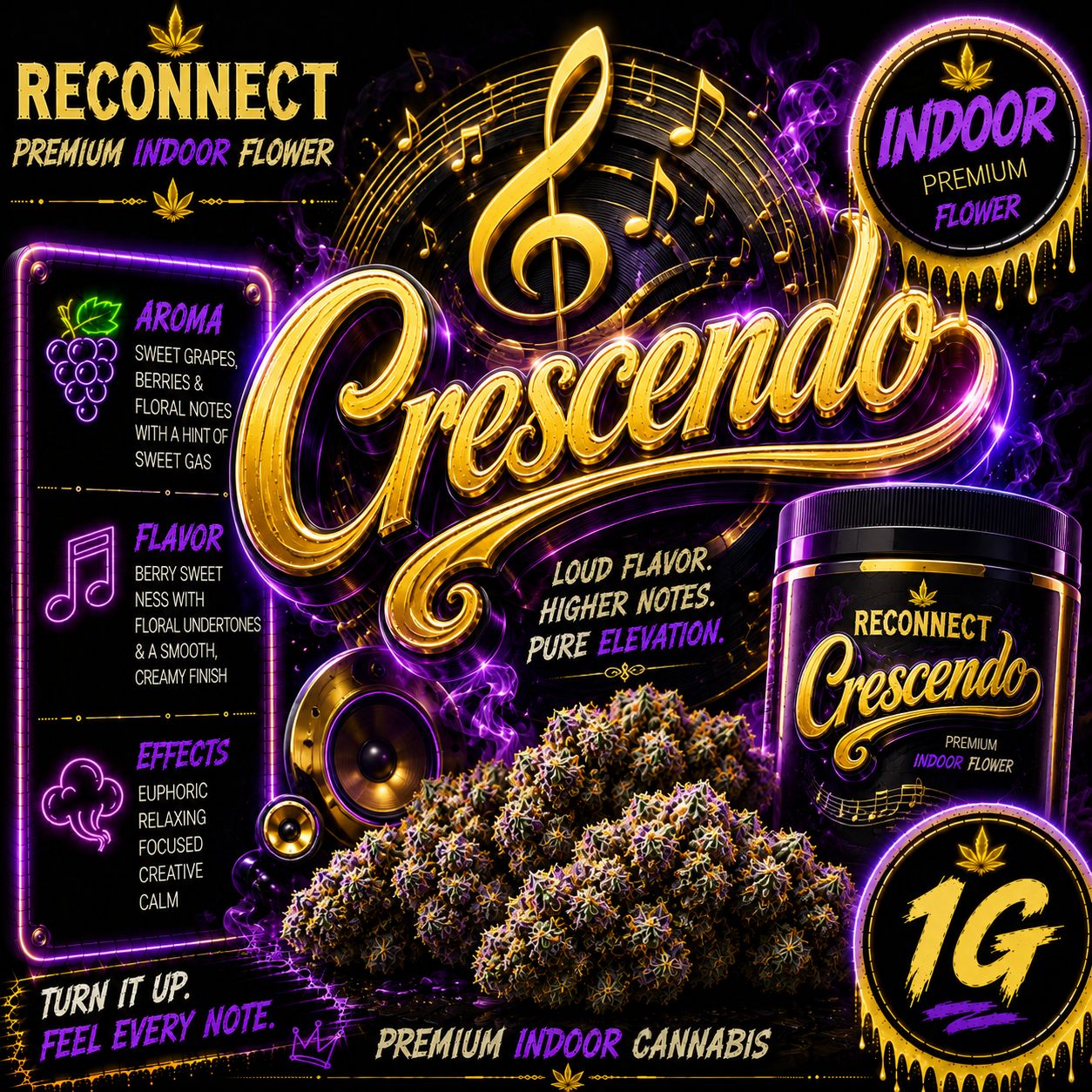 1G | Crescendo | Indoor