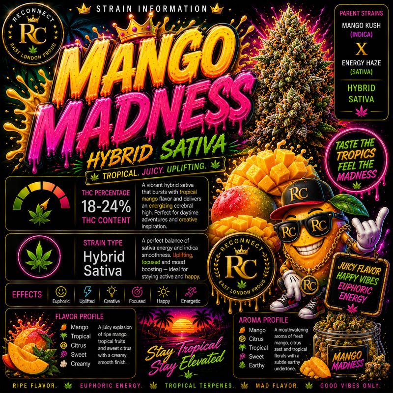 1G | Mango Madness | Indoor