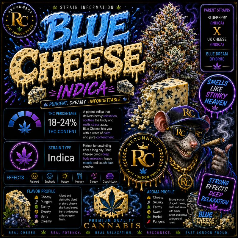 3G | Blue Cheese | Indoor