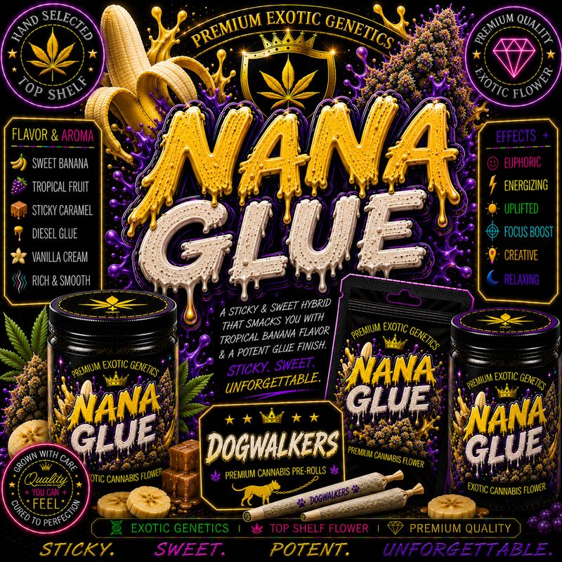 Dog Walker x 2 | Nana Glue | Indoor