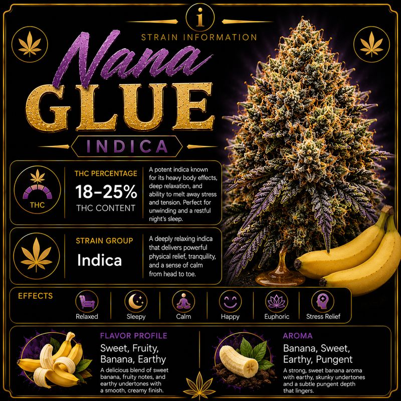 Dog Walker x 2 | Nana Glue | Indoor
